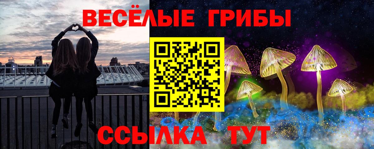 Псилоцибиновые грибы GOLDEN TEACHER Сердобск