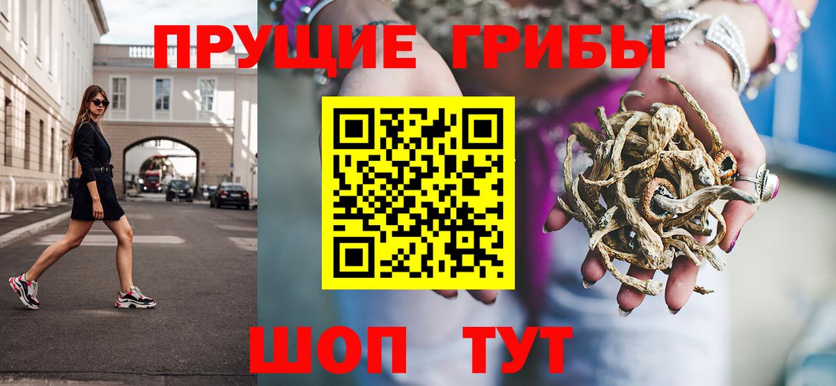 Псилоцибиновые грибы MAGIC MUSHROOMS  Галлюциногенные грибы Psilocybe  Вход с VPN  Сердобск 